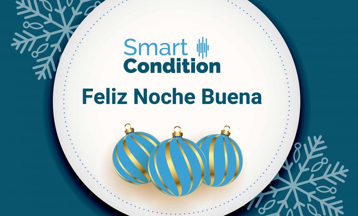 Nochebuena-Smart Condition 21-SWB_noche buena